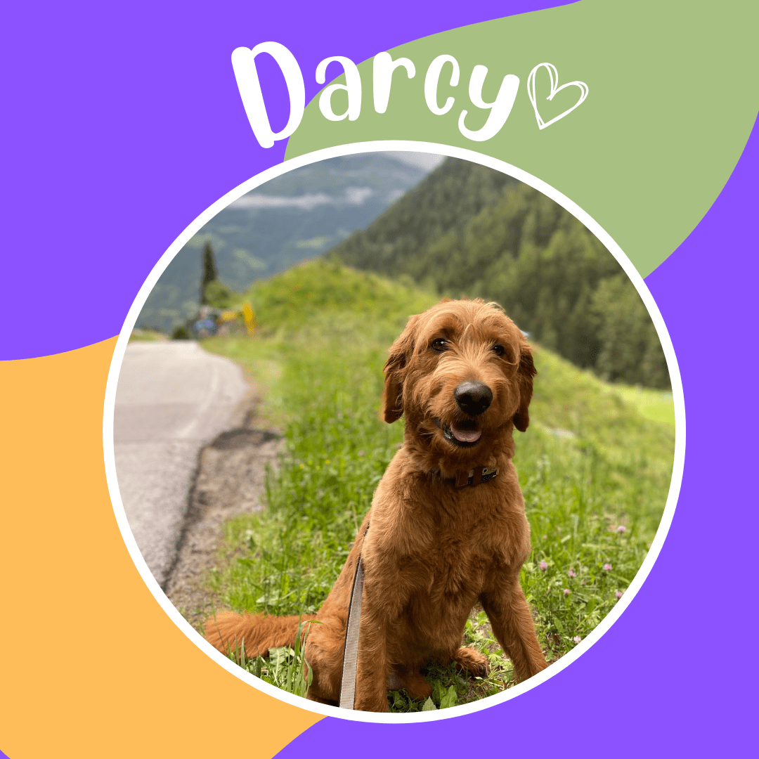 Darcy