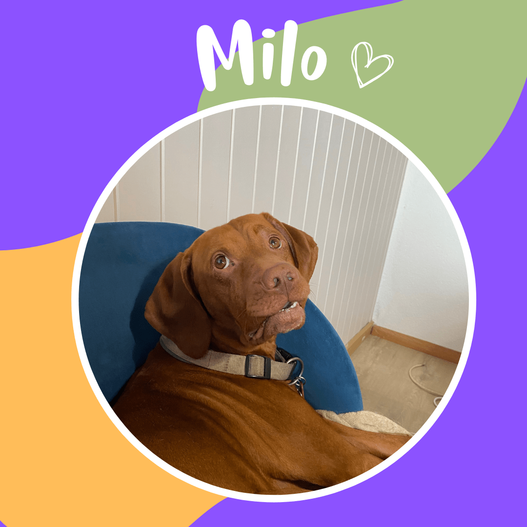 Milo